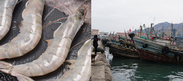 建造一個海鮮冷庫多少錢？
